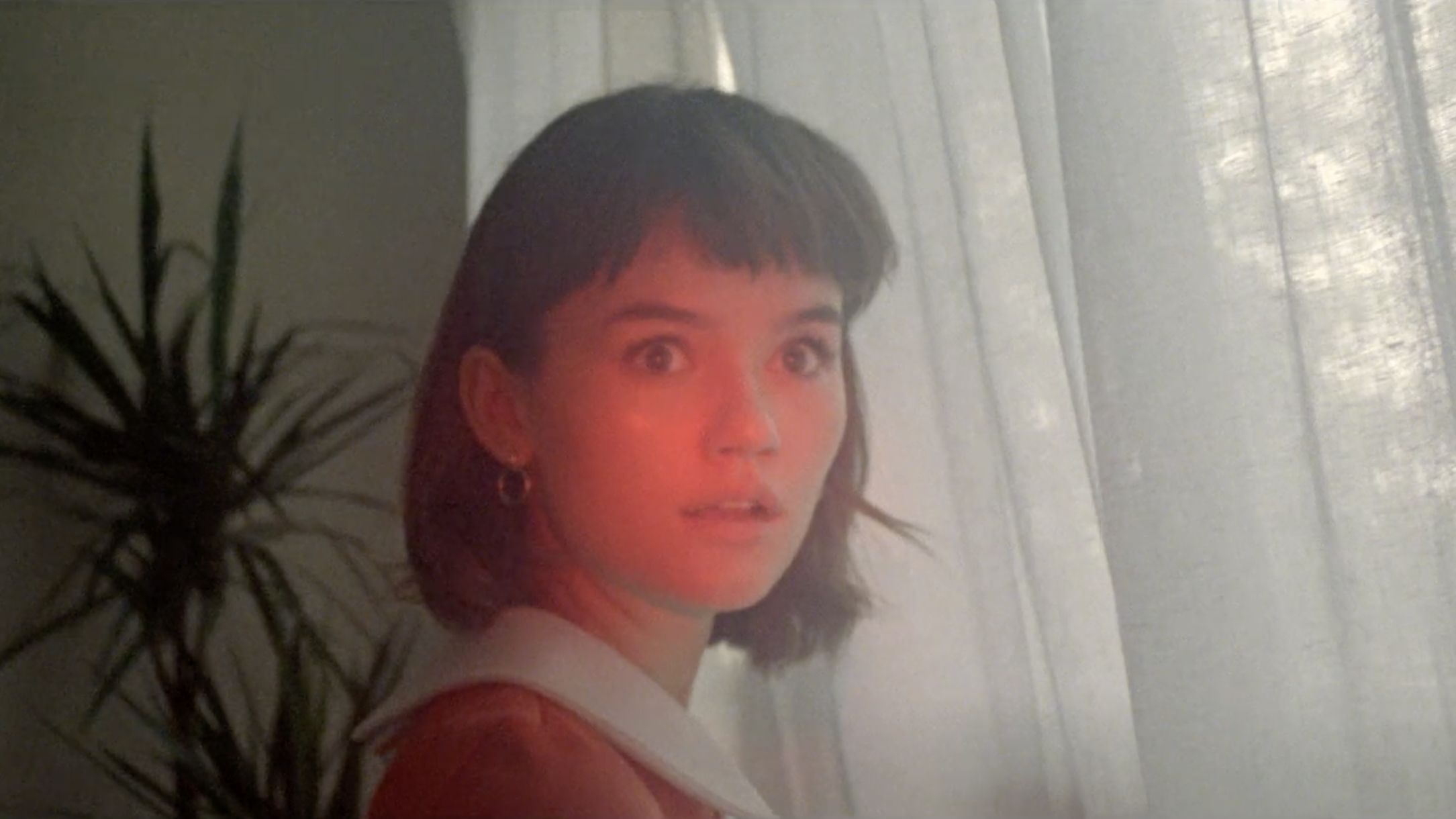 Broods Everything Goes Fish